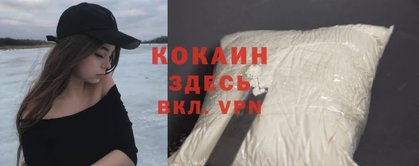 шишки Верея