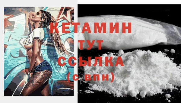 шишки Верея