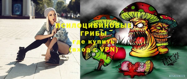 крисы Бугульма