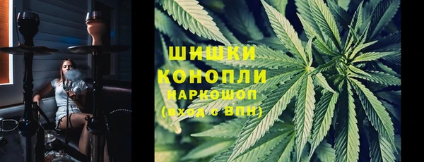 крисы Бугульма