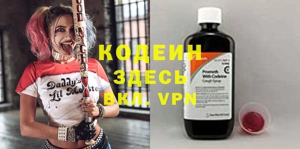 шишки Верея